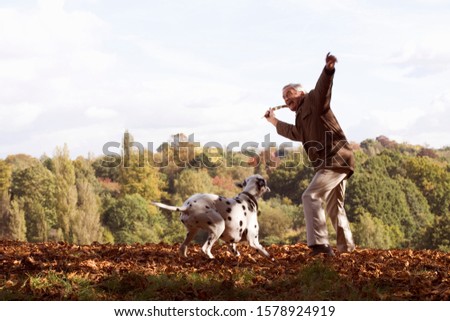 Similar – schwarzer Hund spielt mit Stock