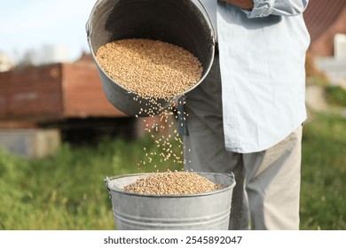 Senior man pouring wheat grains into bucket outdoors, closeup - Powered by Shutterstock