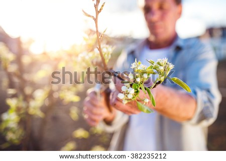 Similar – Image, Stock Photo Mature man gardener cutting grass in his backyard with lawn mower on summer sunny day. Lawnmower machine for trimming grass. Seasonal works in the garden.