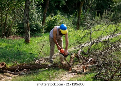 Senior Man Removing Fallen Tree Obstacle from a Country Road Using a Motor Chainsaw - Powered by Shutterstock