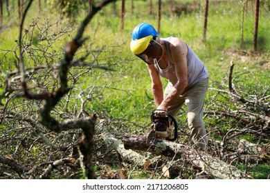 Senior Man Removing Fallen Tree Obstacle from a Country Road Using a Motor Chainsaw - Powered by Shutterstock