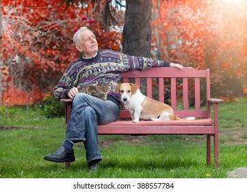 Senior Man Sitting On Bench In The Park With Cat In The Lap And Dog Beside Him