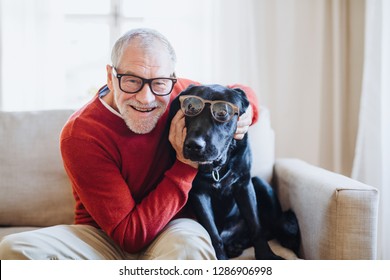 A Senior Man Sitting On A Sofa Indoors With A Pet Dog At Home, Having Fun.