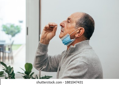Senior man sitting, self test for COVID-19 at home with Antigen test kit. Coronavirus nasal swab test for infection. Medicine and health-related services online.