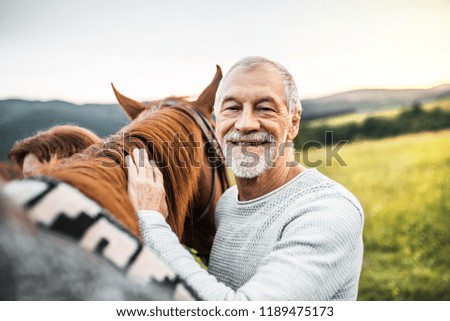 Similar – Image, Stock Photo Brown horse standing on a green field