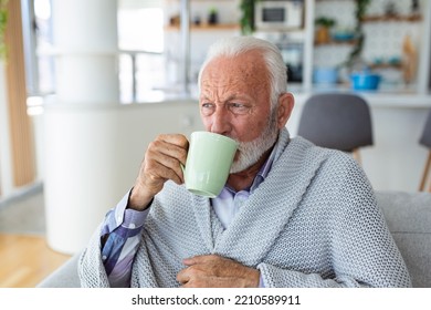 Senior Man Suffering From Flu Drinking Tea While Sitting Wrapped In A Blanket On The Sofa At Home. Sick Older Man With Headache Sitting Under The Blanket In The Living Room. 