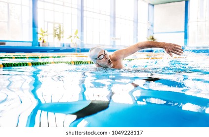 Senior Man Swimming In An Indoor Swimming Pool.