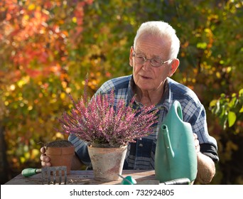 Senior man taking care of plants at table in garden - Powered by Shutterstock