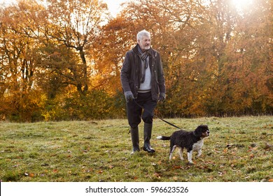 Senior Man Taking Dog For Walk In Autumn Landscape