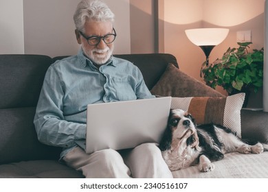 Senior man using laptop sitting on sofa at home close to his cavalier king charles dog. Elderly bearded retired male and pet therapy concept - Powered by Shutterstock