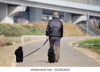 Senior Man Walking With A Black Dog