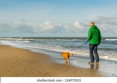 Senior Man Is Walking The Dog At The Beach