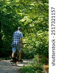 Senior man walking with his dog in the woods on a sunny day