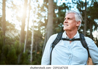 . Senior Man Walking On Hike In Nature, Looking At View On Mountain And Hiking On A Relaxing Getaway Vacation Alone In The Countryside. Retired, Mature And Happy Guy On Walk For Exercise And Fitness