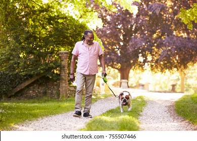 1,021 African man walking dog Images, Stock Photos & Vectors | Shutterstock