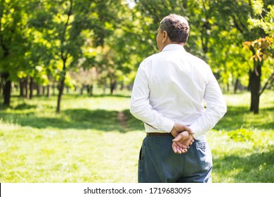 Senior Man Walking And Relaxing In Park. Walking Away, Relaxing, Rear View