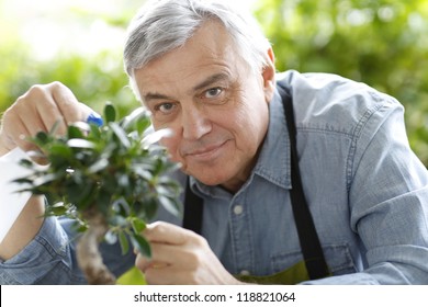 Senior man watering bonsai leaves - Powered by Shutterstock