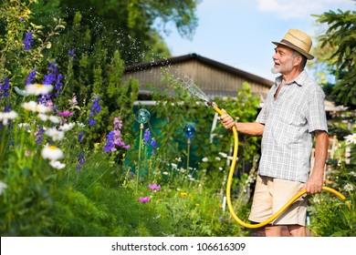 Senior Man Watering The Garden With Hose