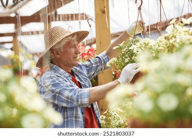 Senior man wearing straw hat and gloves, arranging hanging flower pots in greenhouse, enjoying gardening. Sunlight filtering through glass windows, colorful flowers blooming around - Powered by Shutterstock