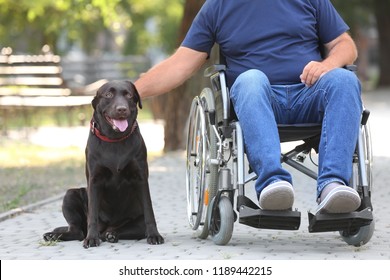 Senior man in wheelchair and his dog outdoors - Powered by Shutterstock