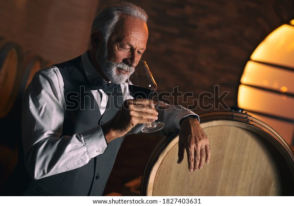 Senior\
man who could be a winemaker, a sommelier, a connoisseur or simply\
a wine lover, holds up a glass of red wine and sniffs the bouquet\
appreciatively. Black background with copy\
space.