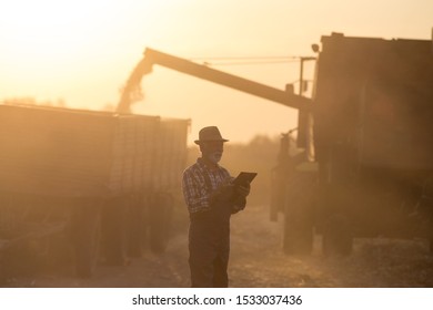 Senior Man Writing Notes About Yield In Front Of Combine Harvester Loading Trailer With Crop At Sunset