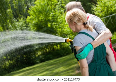 Senior Married Couple Watering The Lawn In The Garden