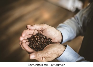 Senior men in hand holding whole grain of coffee.  - Shutterstock ID 1093019087