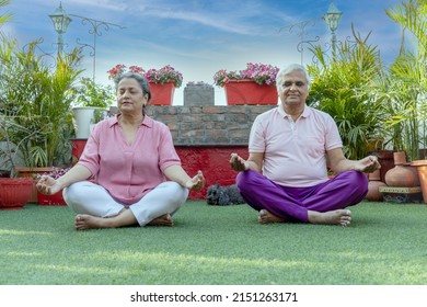 senior Men and women doing yoga in garden  - Powered by Shutterstock