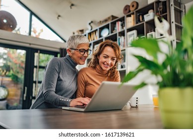 Senior Mother And Mature Daughter Looking Pictures On Laptop At Home.