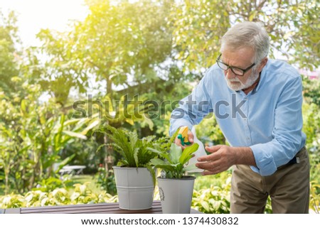 Senior old man eldery puring water and taking care small tree on table in garden