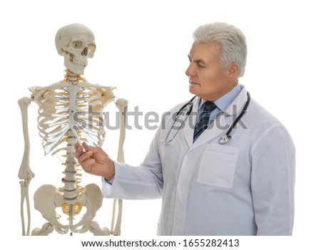 Senior orthopedist with human skeleton model on white background