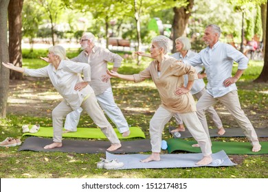 Senior people doing qigong exercise in the park stock photo