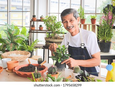 Senior people lifestyle and gardening concept. Active  Asian elderly male gardener sitting at table with houseplants and gardening tools , taking care of small tree , smiling and looking at camera. - Powered by Shutterstock