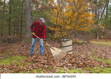 Senior Raking Autumn Leaves