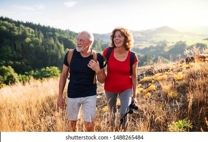 Senior tourist couple travellers hiking in nature, walking and talking. - Shutterstock ID 1488265484