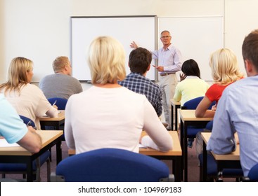 Senior Tutor Teaching Class