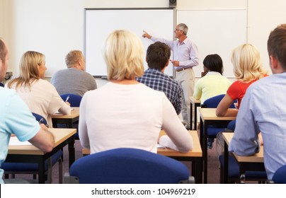 Senior Tutor Teaching Class