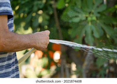 Senior Watering Garden With Hose In Hand