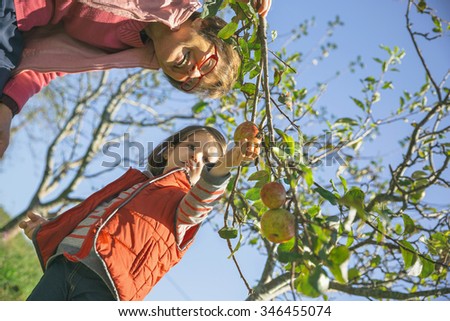 Senior woman and little girl picking apples from tree