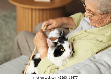 Senior woman with cute cat and knitting needles resting at home - Powered by Shutterstock