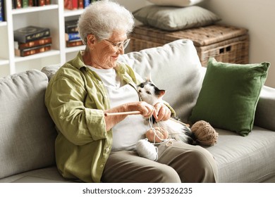 Senior woman with cute cat and knitting needles resting at home - Powered by Shutterstock