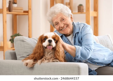 Senior woman with cute cavalier King Charles spaniel dog sitting on sofa at home - Powered by Shutterstock