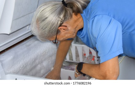 Senior Woman Digs Into A Chest Freezer.  She Is Defrosting And Cleaning Out Old And Expired Frozen Food.  Her Face Is Dirty.