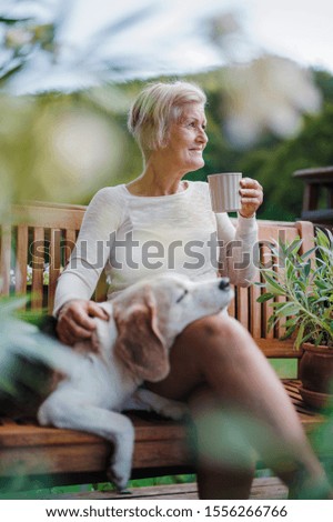 Similar – Foto Bild Senior Dame, die auf einem Stuhl am Strand sitzt und auf das Meer schaut.