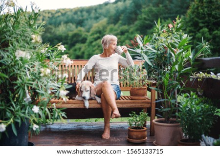 Image, Stock Photo Garden bench on a wooden fence