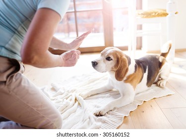 Senior Woman With Dog Inside Of Her House. 