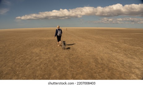 Senior Woman With A Dog On A Leash Walks In The Sand Without Shoes Through The Endless Wadden Sea At Low Tide Along The Orientation Posts. With Blue Sky And Heavy Cloud