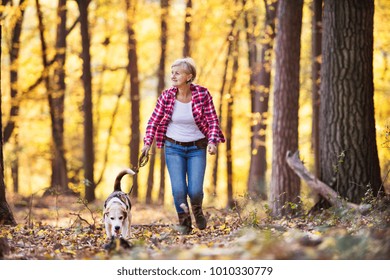 Senior Woman With Dog On A Walk In An Autumn Forest.