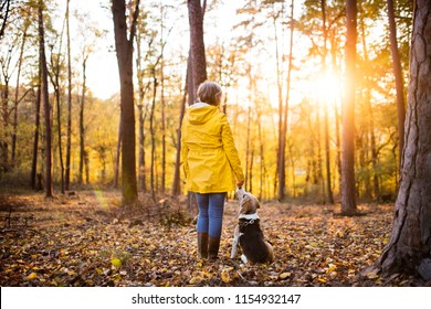 Senior Woman With Dog On A Walk In An Autumn Forest.